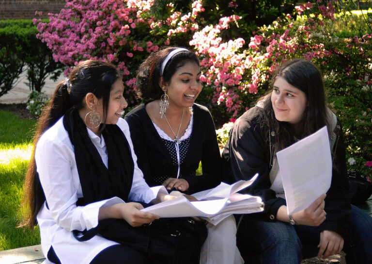 group study