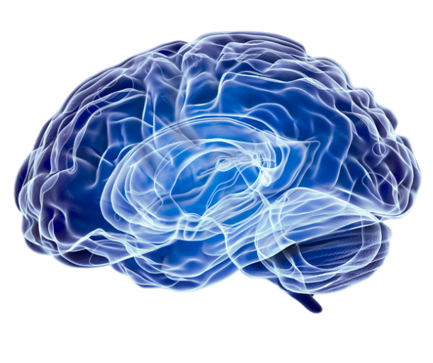 neurodivergence